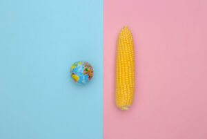 Corn swing and globe on pink blue pastel background. Save planet. Top view. Flat lay